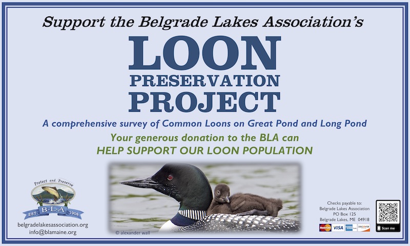 LPP Banner